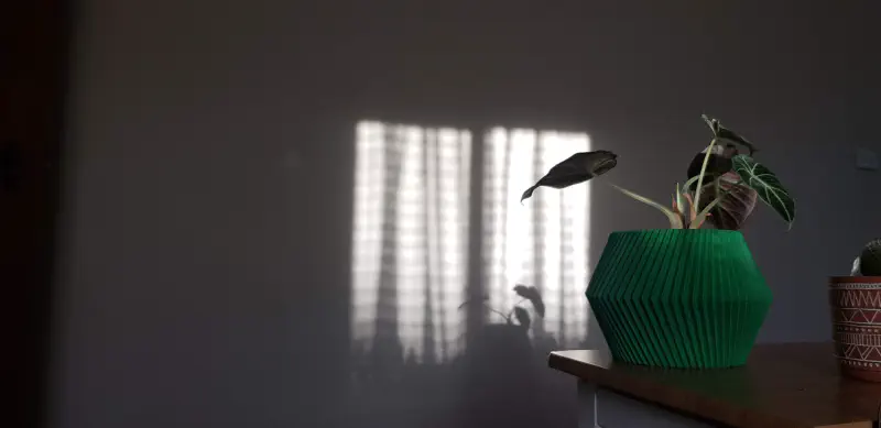 Planter (0001) Planter