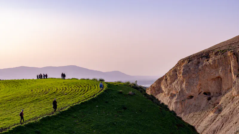 Chickpea Hill