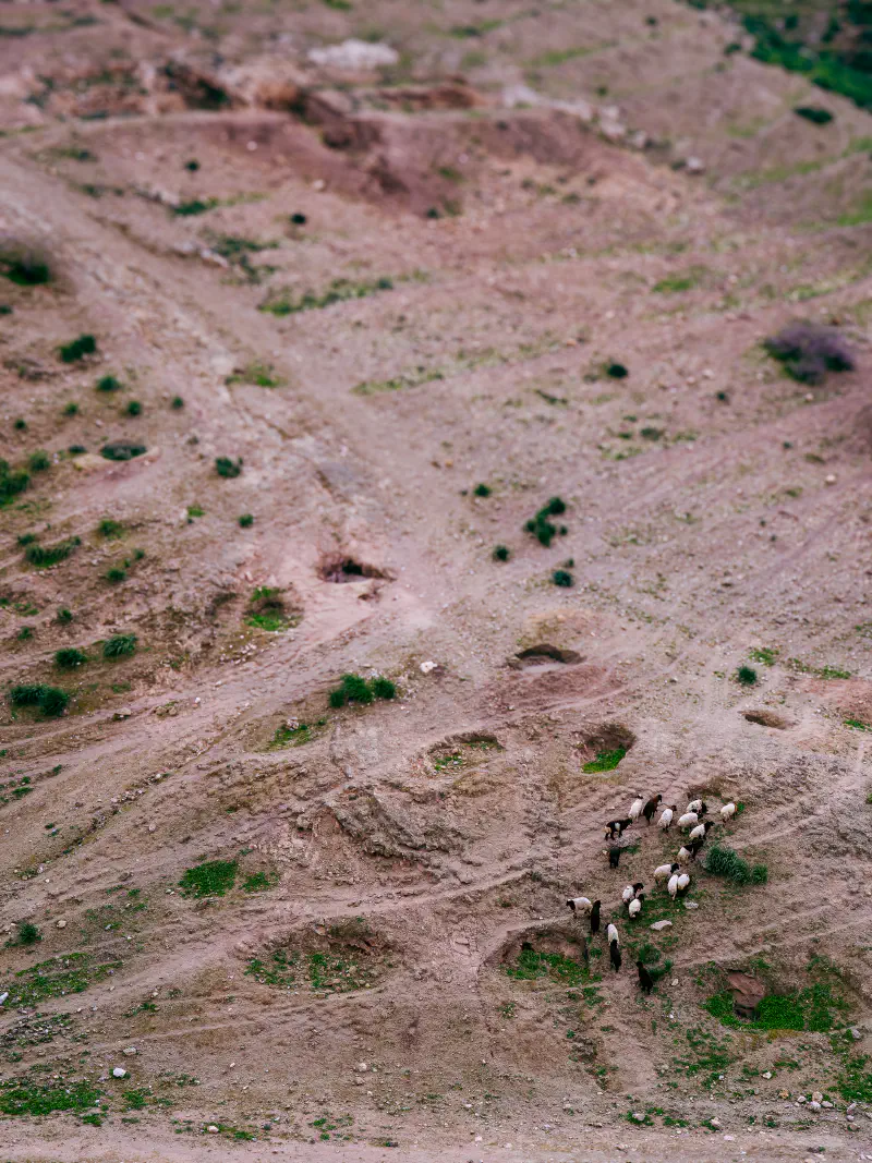 Sheepish Climb (0001) Sheepish Climb